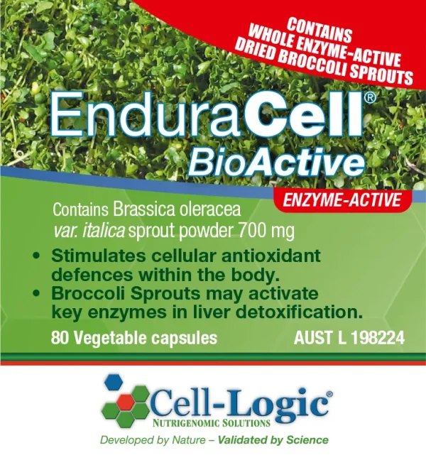 EnduraCell® BioActive Broccoli Sprout Powder 80 Capsules - Image 3