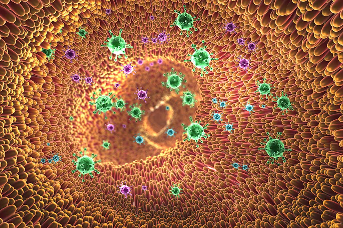 Cell-Logic, The rise and fall of the antiobiotic