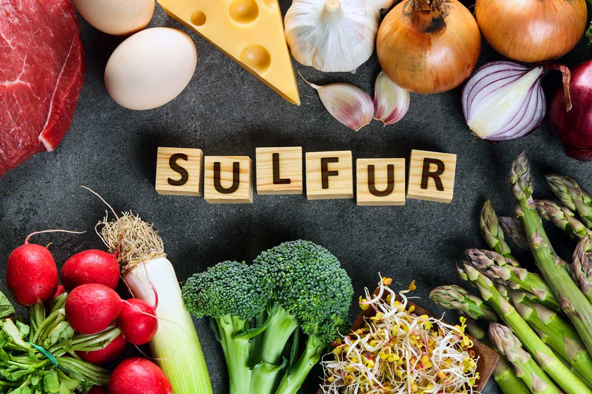 Cell-Logic, The Perplexing Issue of Perceived Sulfur Intolerance