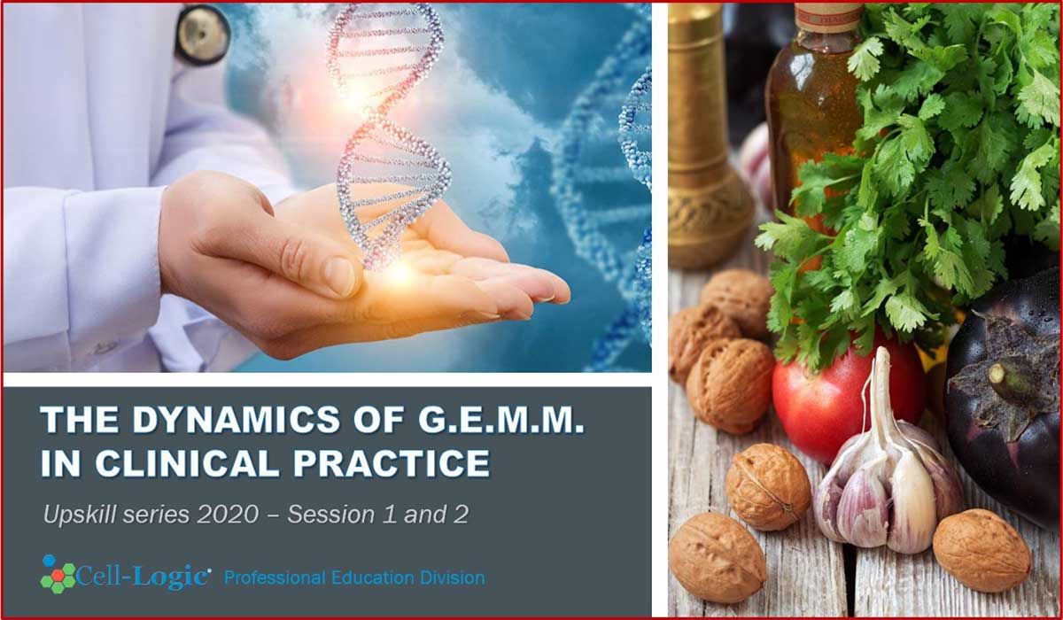 G.E.M.M Upskills Series