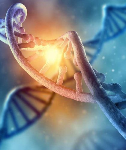 DNA cropped2